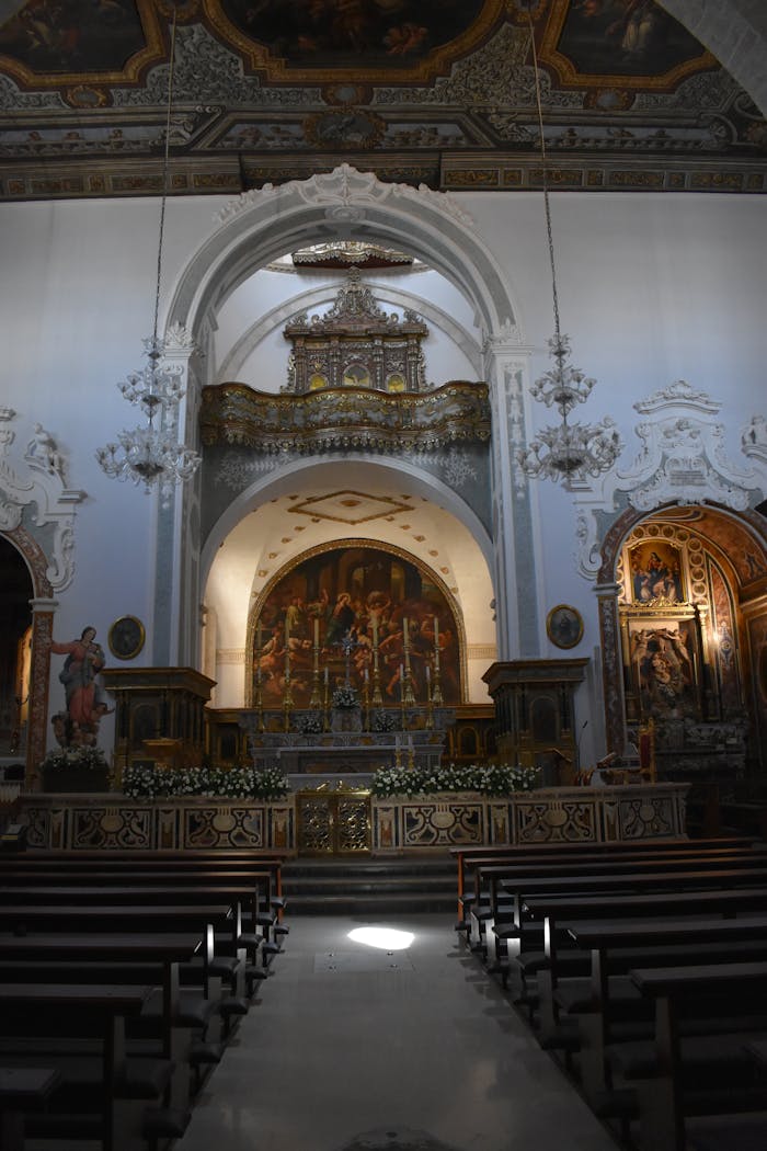 pexels photo 13519166.jpeg